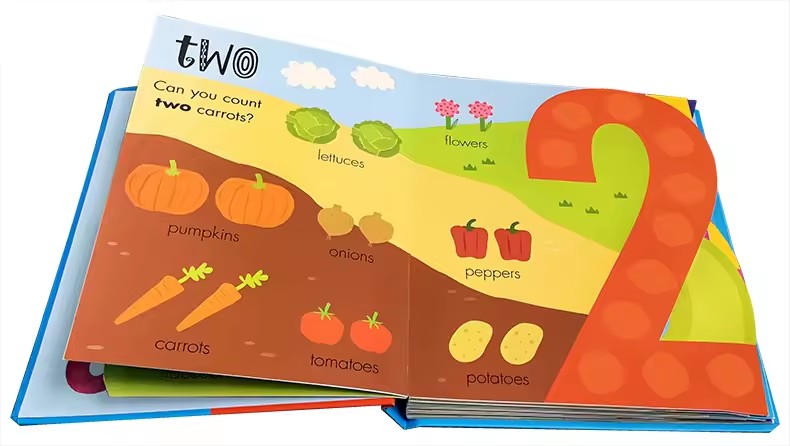 Моя потрясающая книга для счет – обзор и цена Kids Education Number